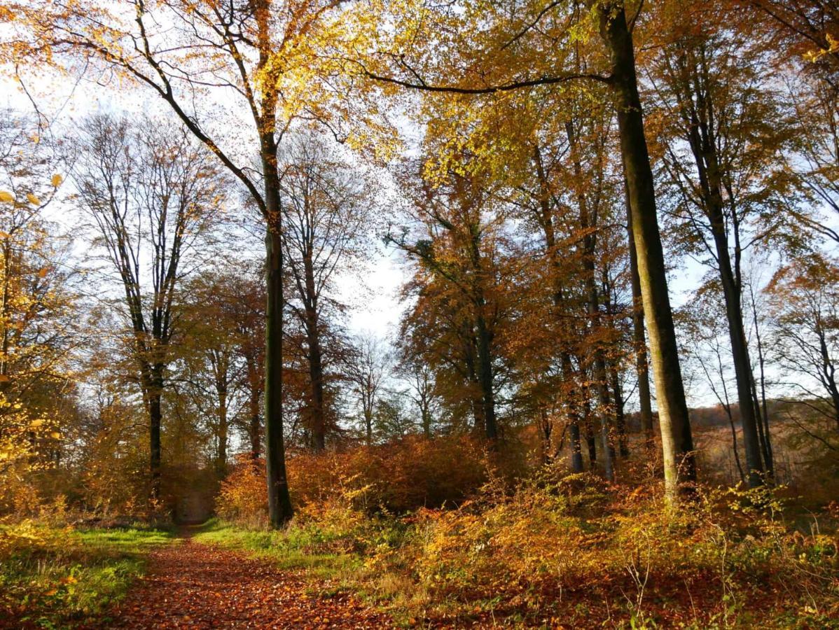 Hote "Il Etait Une Fois" Hesdin Buitenkant foto
